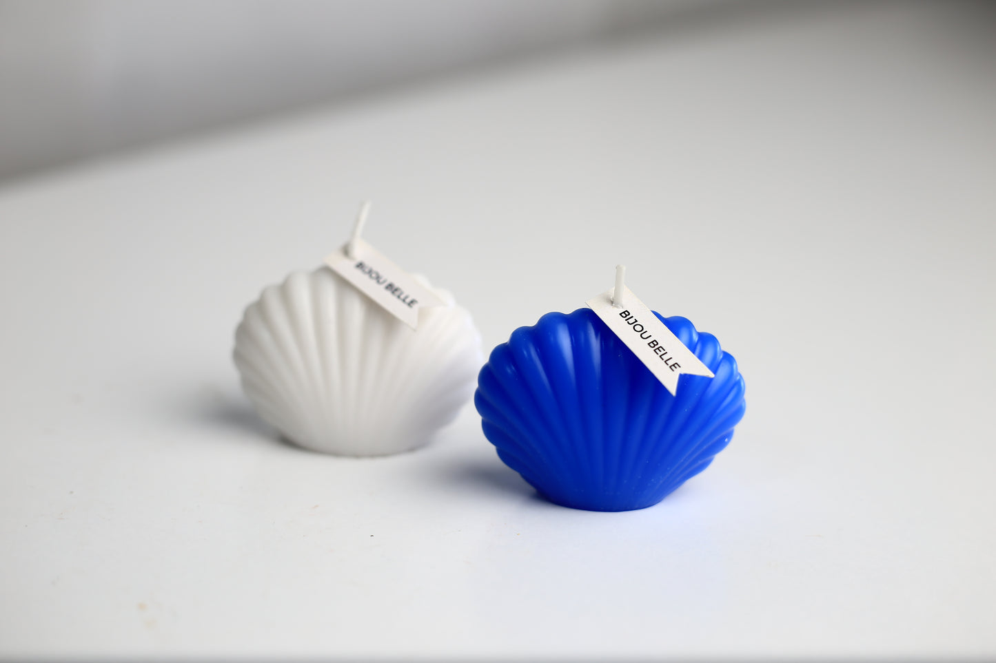 (M) Seashell