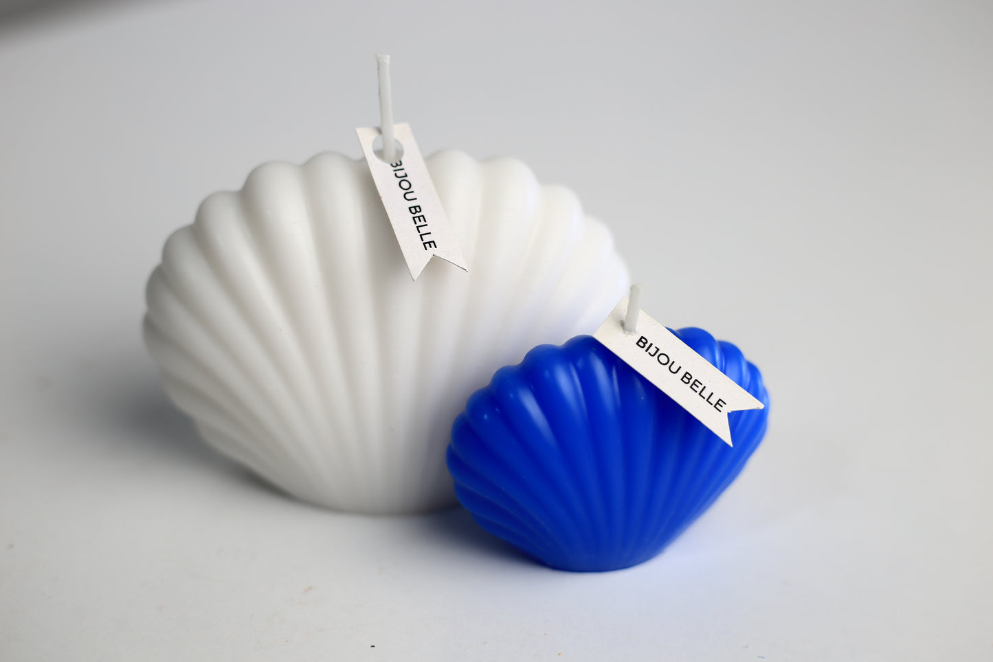 (L) Seashell