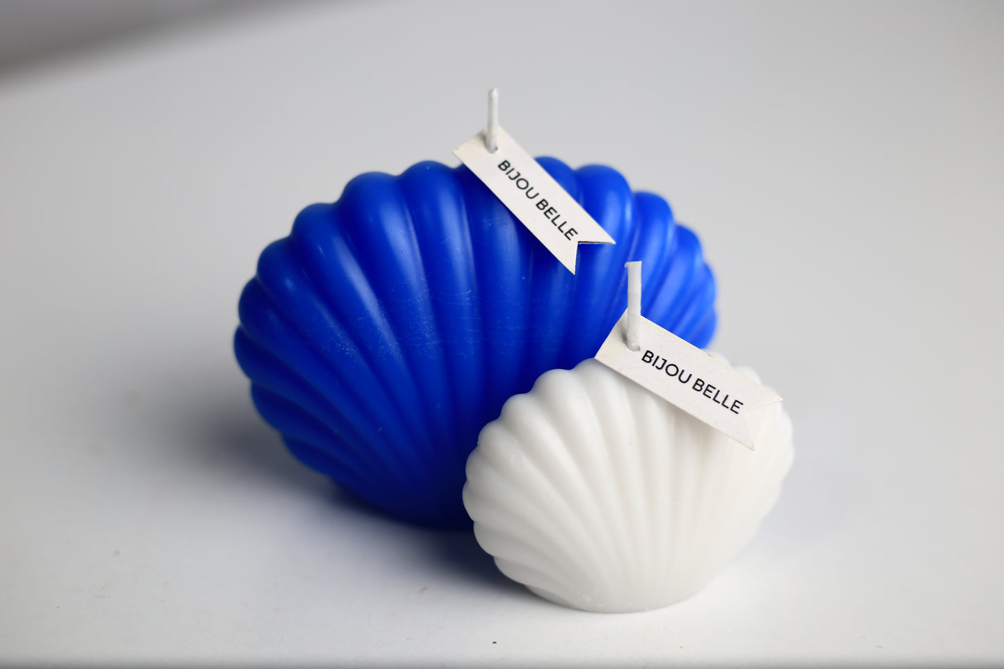 (M) Seashell