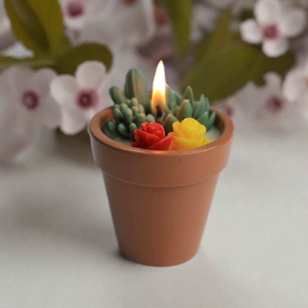 Cactus with flower