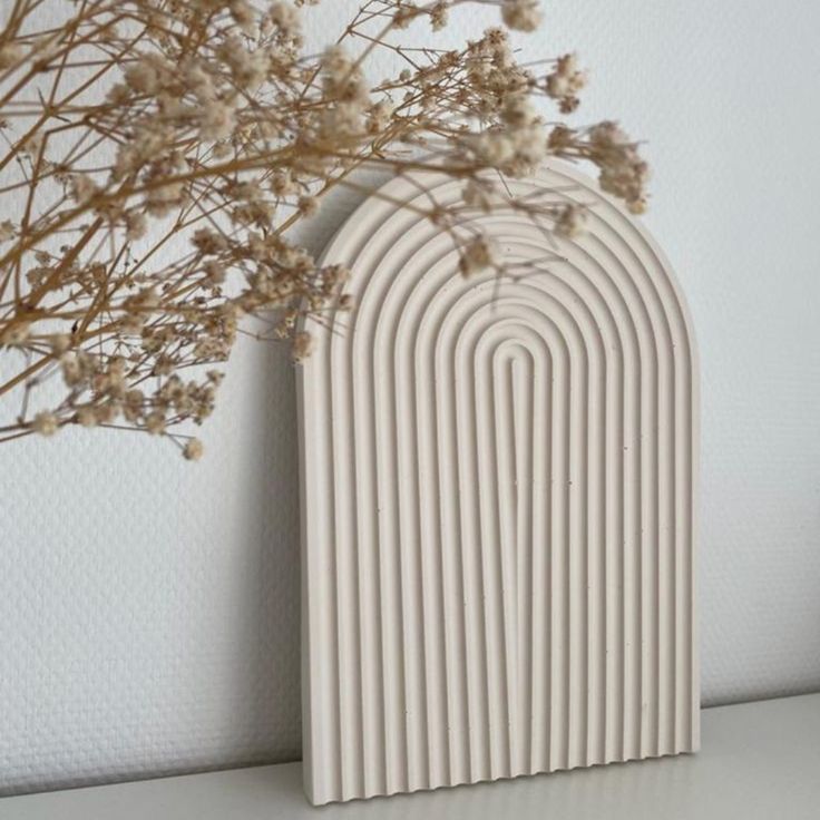 كوستر رينبو